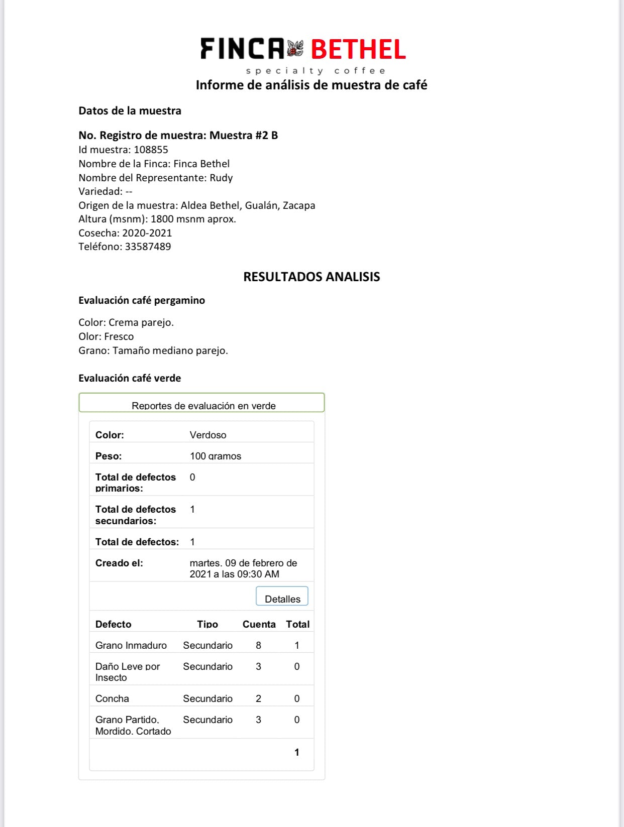 Strictly Hard Beans SHB- Specialty Grade -2025 CROPS-